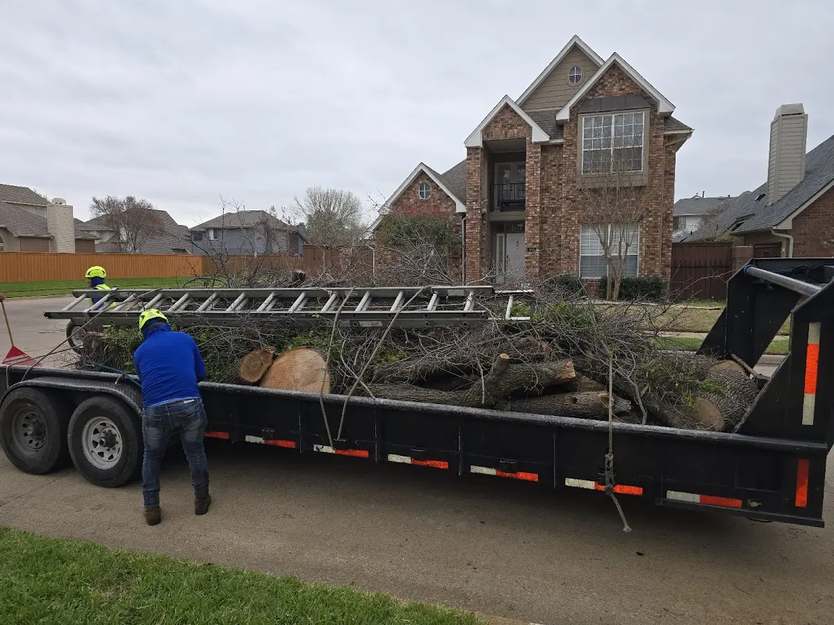 Expert Tree Pest Control with proper safety equipment in Easton